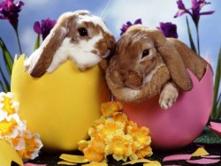 easter-wallpaper1.jpg