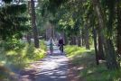 2014-birzelis-21-16-31--koreguota-2.jpg