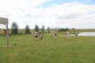 IMG_5756.jpg